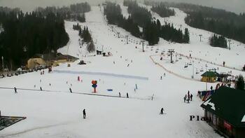 Plai 11 february 2026 year, 2026-02-11 13:00