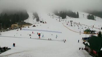 Plai 11 february 2026 year, 2026-02-11 16:00