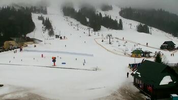 Plai 12 february 2026 year, 2026-02-12 10:00