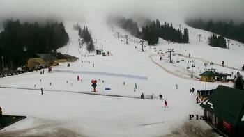 Plai 12 february 2026 year, 2026-02-12 13:00