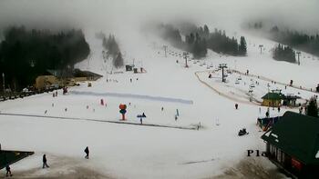 Plai 12 february 2026 year, 2026-02-12 16:00