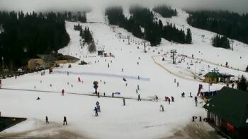 Plai 13 february 2026 year 13:00