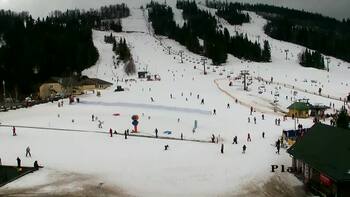 Плай 14 лютого 2026 року, 2026-02-14 13:00