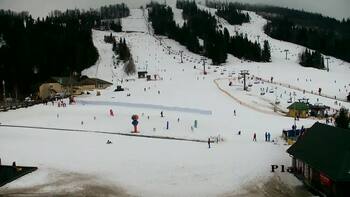 Плай 14 лютого 2026 року, 2026-02-14 16:00