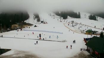 Плай 15 лютого 2026 року, 2026-02-15 10:00