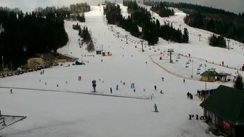 Плай 19 лютого 2026 року, 2026-02-19 10:00