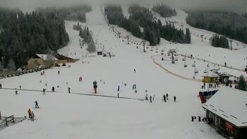 Плай 20 лютого 2026 року, 2026-02-20 13:00