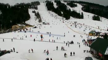 Плай 21 лютого 2026 року, 2026-02-21 13:00