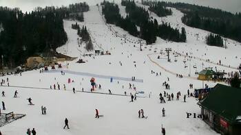 Плай 22 лютого 2026 року, 2026-02-22 13:00