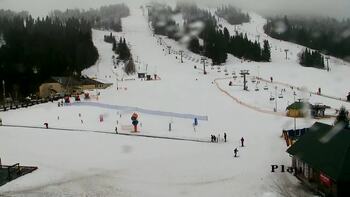 Плай 24 лютого 2026 року, 2026-02-24 10:00