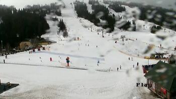 Плай 24 лютого 2026 року, 2026-02-24 13:00