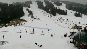 Плай 25 лютого 2026 року, 2026-02-25 13:00