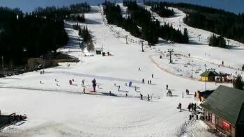 Плай 28 лютого 2026 року, 2026-02-28 13:00