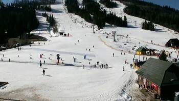 Плай 1 березня 2026 року, 2026-03-01 13:00