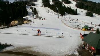 Плай 8 березня 2026 року, 2026-03-08 10:00