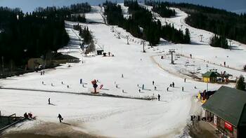 Плай 10 березня 2026 року, 2026-03-10 13:00