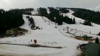 Плай 17 березня 2026 року, 2026-03-17 13:00