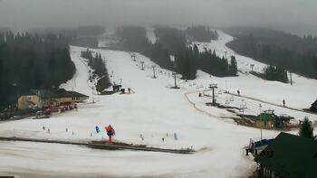 Плай 19 березня 2026 року, 2026-03-19 16:00