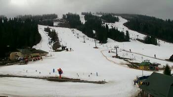 Плай 21 березня 2026 року, 2026-03-21 13:00