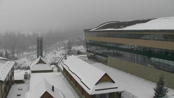 Плай 17 січня 2018 року, 2018-01-17 13:00