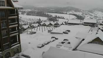 Плай 4 січня 2019 року, 2019-01-04 13:00