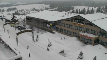 Плай 11 січня 2019 року, 2019-01-11 10:00