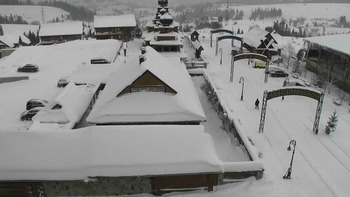 Плай 14 січня 2019 року, 2019-01-14 10:00