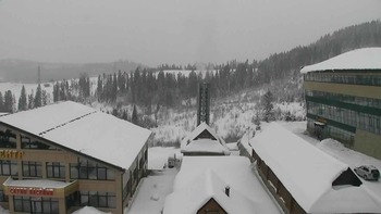 Плай 20 січня 2019 року, 2019-01-20 13:00