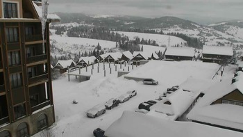 Плай 25 січня 2019 року, 2019-01-25 13:00