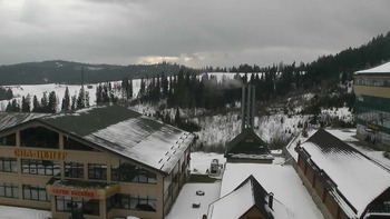 Плай 11 січня 2020 року, 2020-01-11 13:00