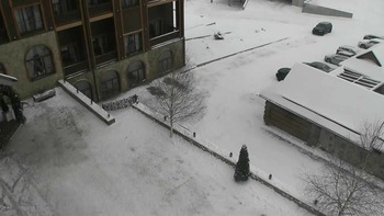 Плай 1 лютого 2021 року, 2021-02-01 10:00