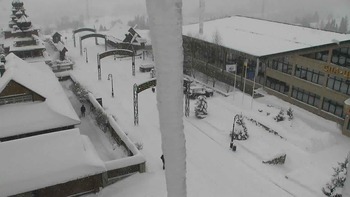 Плай 15 лютого 2021 року, 2021-02-15 10:00