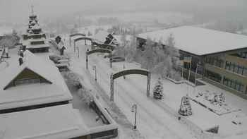 Плай 3 грудня 2021 року, 2021-12-03 10:00