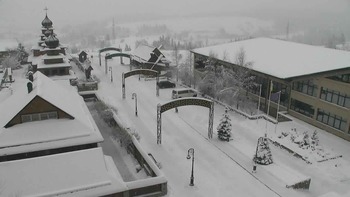 Плай 5 грудня 2021 року, 2021-12-05 10:00