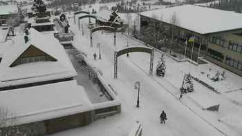 Плай 7 грудня 2021 року, 2021-12-07 13:00