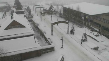Плай 10 грудня 2021 року, 2021-12-10 10:00