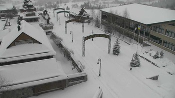 Плай 12 грудня 2021 року, 2021-12-12 16:00