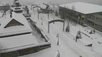 Плай 16 грудня 2021 року, 2021-12-16 10:00