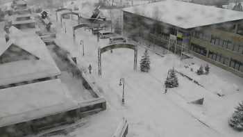 Плай 19 грудня 2021 року, 2021-12-19 10:00