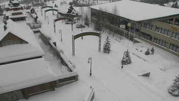 Плай 20 грудня 2021 року, 2021-12-20 10:00