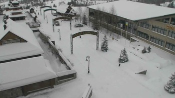 Плай 20 грудня 2021 року, 2021-12-20 13:00
