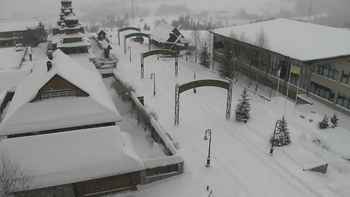 Плай 21 грудня 2021 року, 2021-12-21 10:00