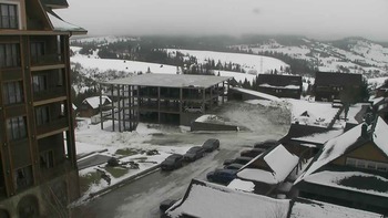 Плай 2 січня 2022 року, 2022-01-02 13:00