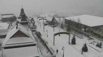 Плай 20 січня 2022 року, 2022-01-20 13:00