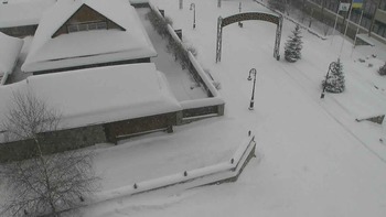 Плай 22 січня 2022 року, 2022-01-22 13:00