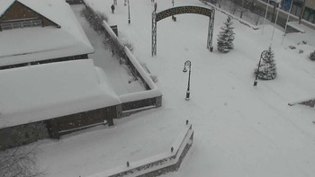 Плай 22 січня 2022 року, 2022-01-22 16:00