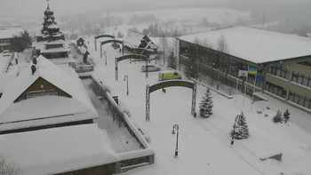 Плай 23 січня 2022 року, 2022-01-23 13:00