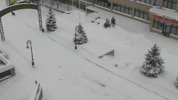 Плай 23 січня 2022 року, 2022-01-23 16:00