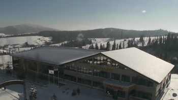 Плай 24 січня 2022 року, 2022-01-24 13:00