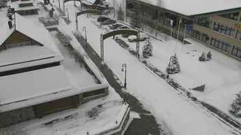 Плай 28 лютого 2022 року, 2022-02-28 13:00